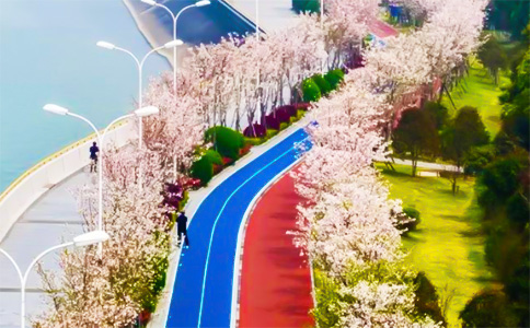 杭州钱塘江塑胶跑道 杭州钱塘江塑胶跑道
