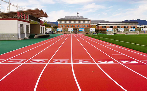 标准塑胶跑道 标准塑胶跑道