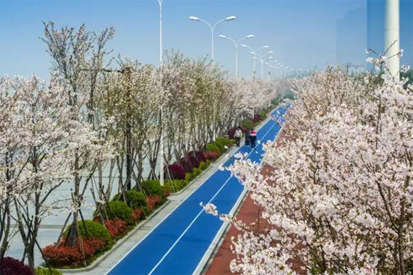 滨江塑胶跑道 滨江塑胶跑道