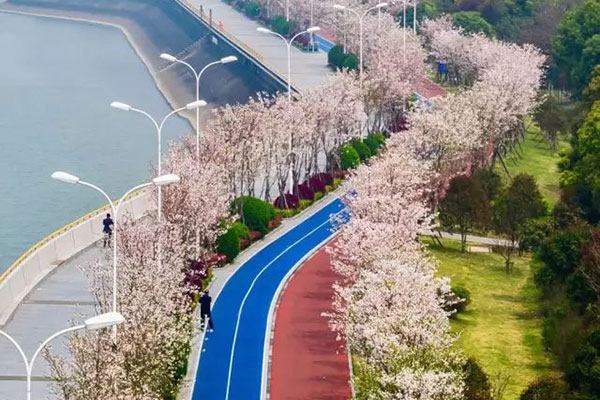 杭州滨江塑胶跑道 杭州滨江塑胶跑道